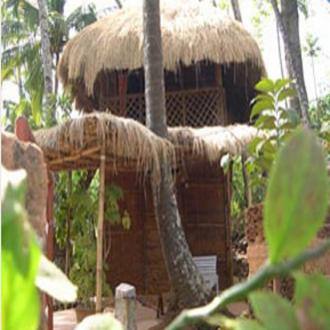 Stay In A Camping Ground In Palolem Beach, Goa 1